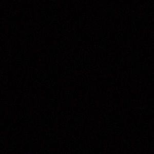 Meet your Posher, Palmer